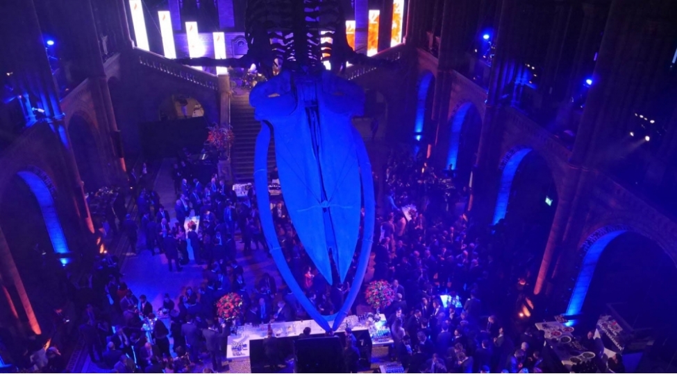 socar-londonda-beynelxalq-neft-heftesinde-tedbir-kechirib-foto