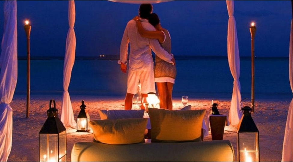 yazda-bal-ayi-hansi-olkelere-uz-tutmaq-olar