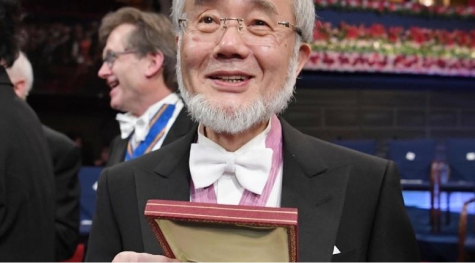 meshhur-alimden-maraql-arashdrma-bedenimizde-mocuze-bash-verir