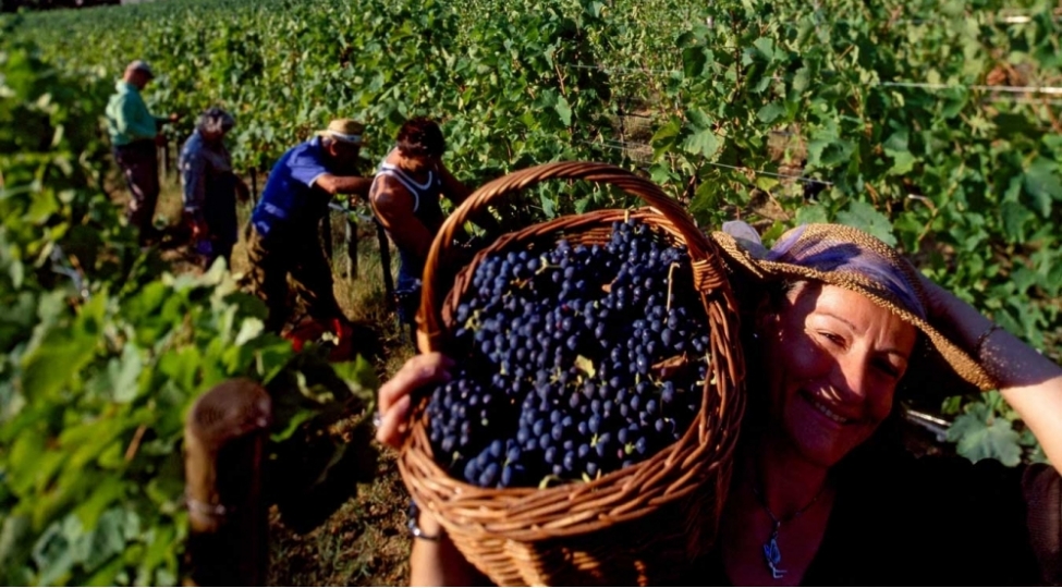 uzun-omur-yashamaq-isteyirsiniz