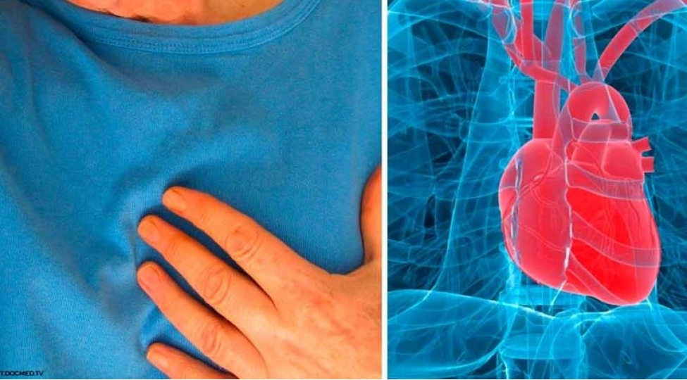 urek-dayanmasi-haqqinda-bilmeli-oldugunuz-10-fakt