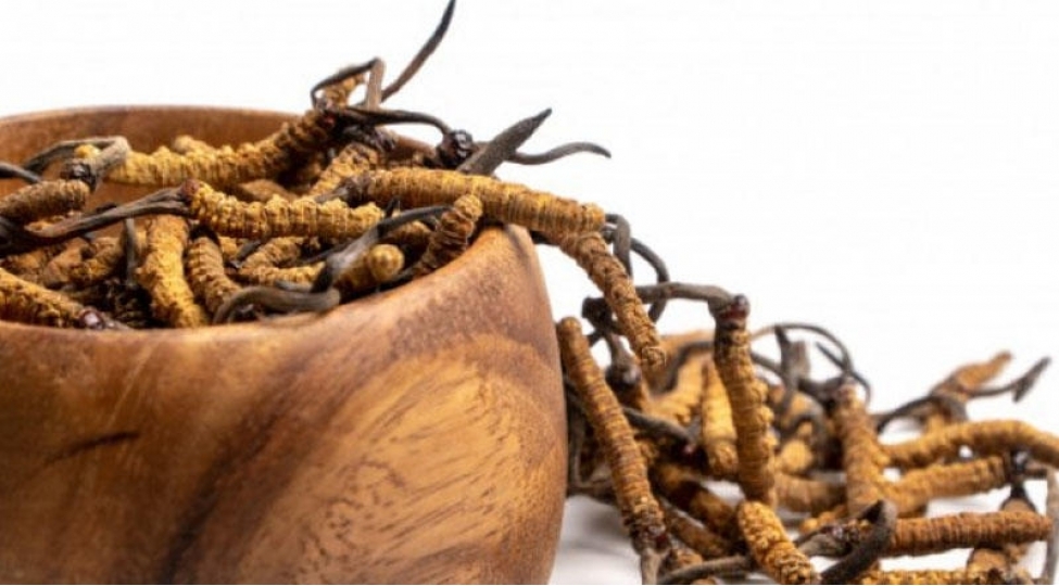 100-derdin-dermani-olan-gobelek-tebii-viaqra