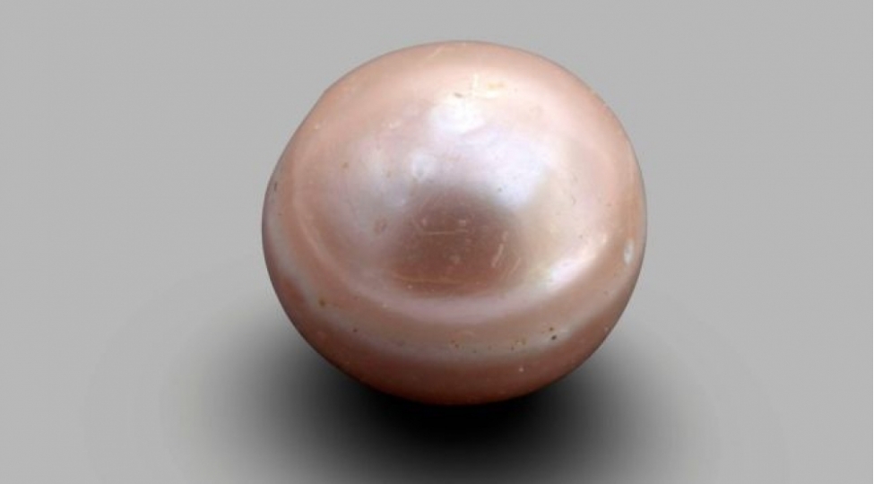 ebu-dabide-dunyanin-en-qedim-mirvarisi-tapilib