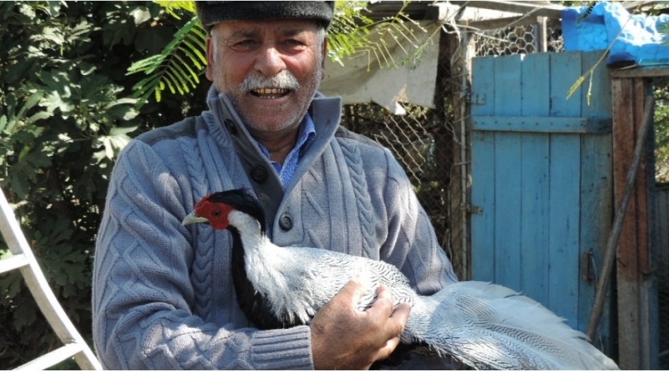 xachmazli-muhendis-heyetinde-25-nov-ekzotik-qush-besleyir