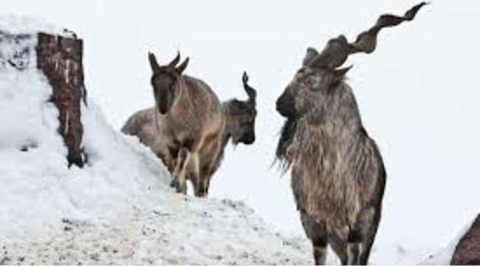 5-kechiden-555-min-dollar-qazandilar