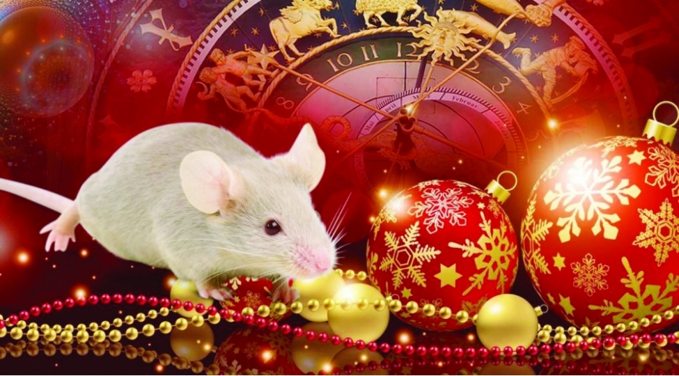 sichan-ili-neler-ved-edir