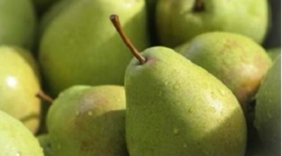 bagirsaqlar-uchun-en-faydali-meyve-hansidir