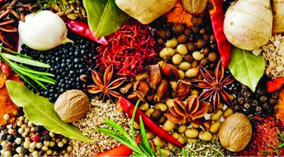 gundelik-istifade-etdiyimiz-mehsullari-taniyiriqmi