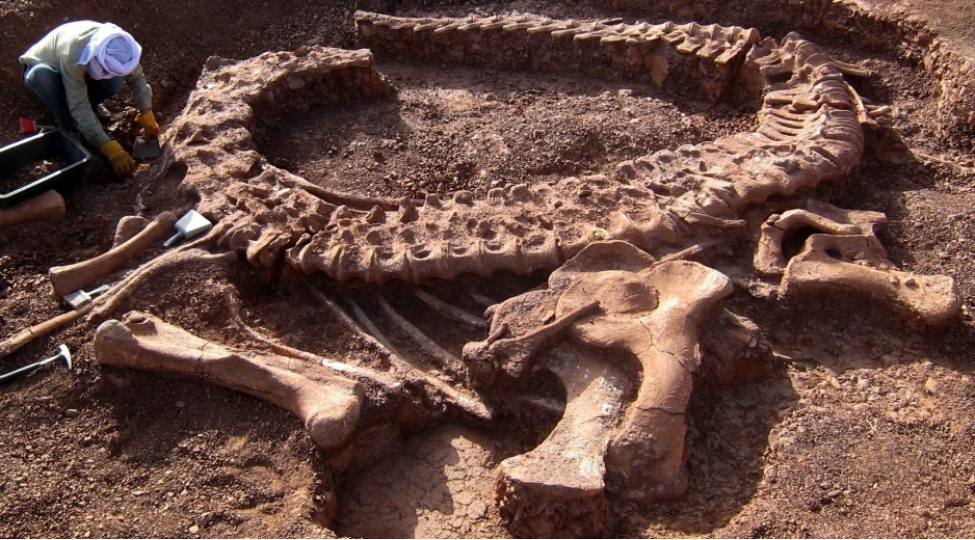 paleontoloqlar-ilk-defe-olaraq-dinozavrlari-ashkar-edibler