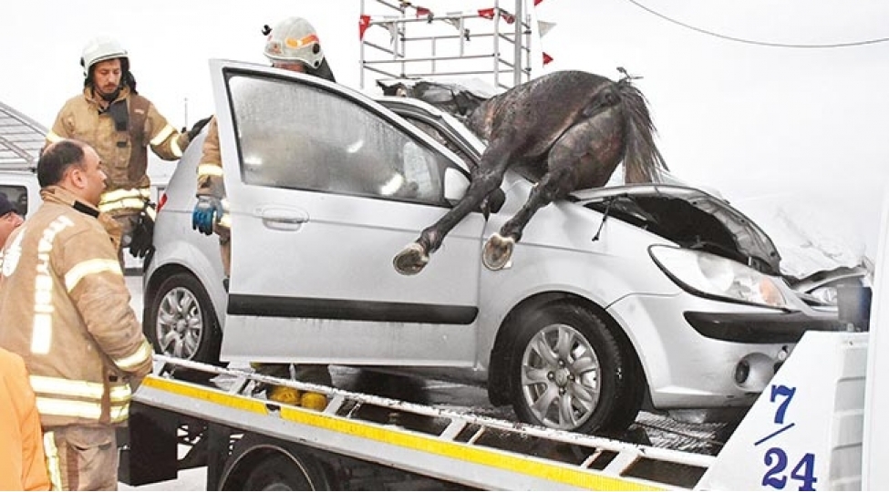 at-on-shusheden-girdi-foto