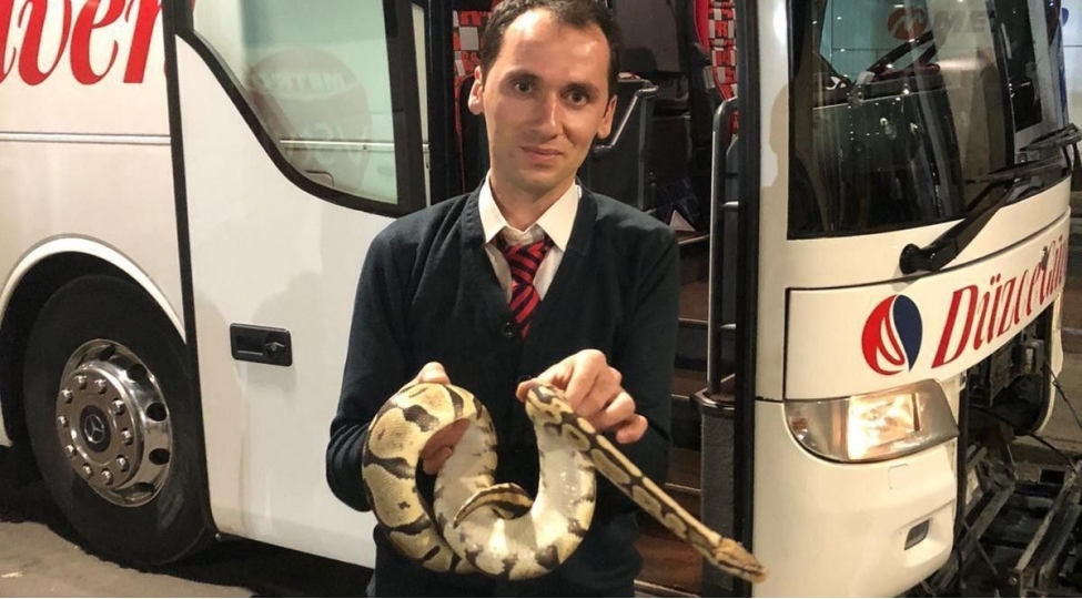 sernishin-avtobusuna-pitonla-mindi-ilan-chemodandan-qachdi-foto