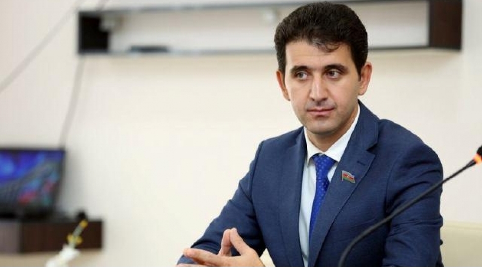 naqif-hemzeyev-munxen-debati-ermenistanin-acizliyinin-numayishi-oldu