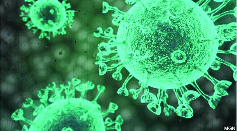 virus-dost-yoxsa-dushmen