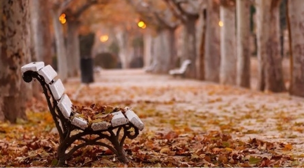 payiz-sindromundan-qurtulun