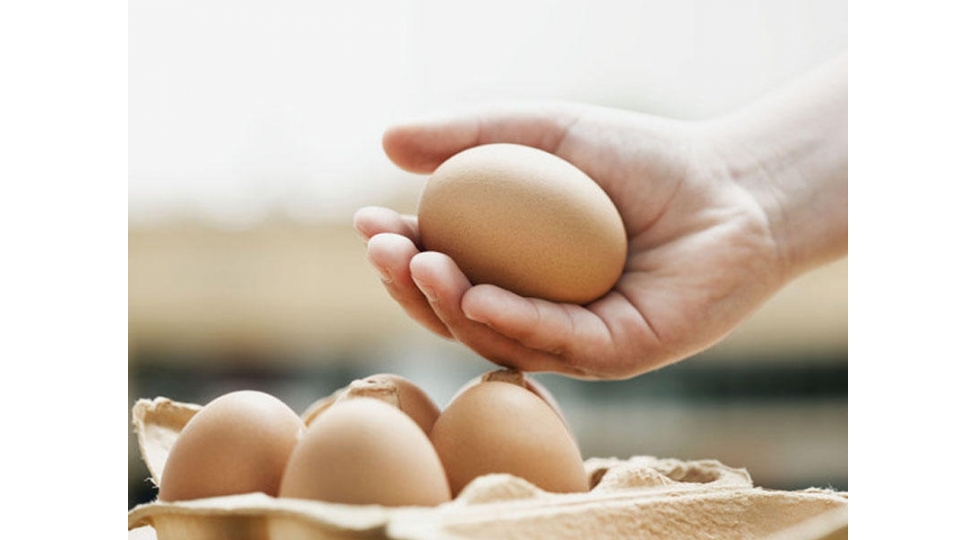 yumurtanin-faydalari