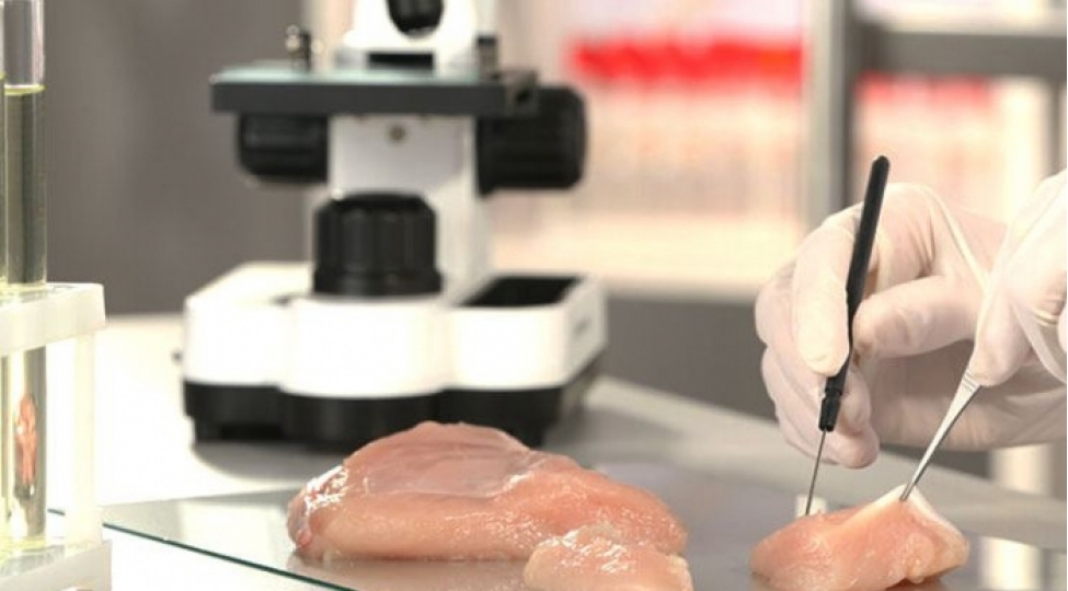 sinqapurda-suni-et-satisha-chixarilib