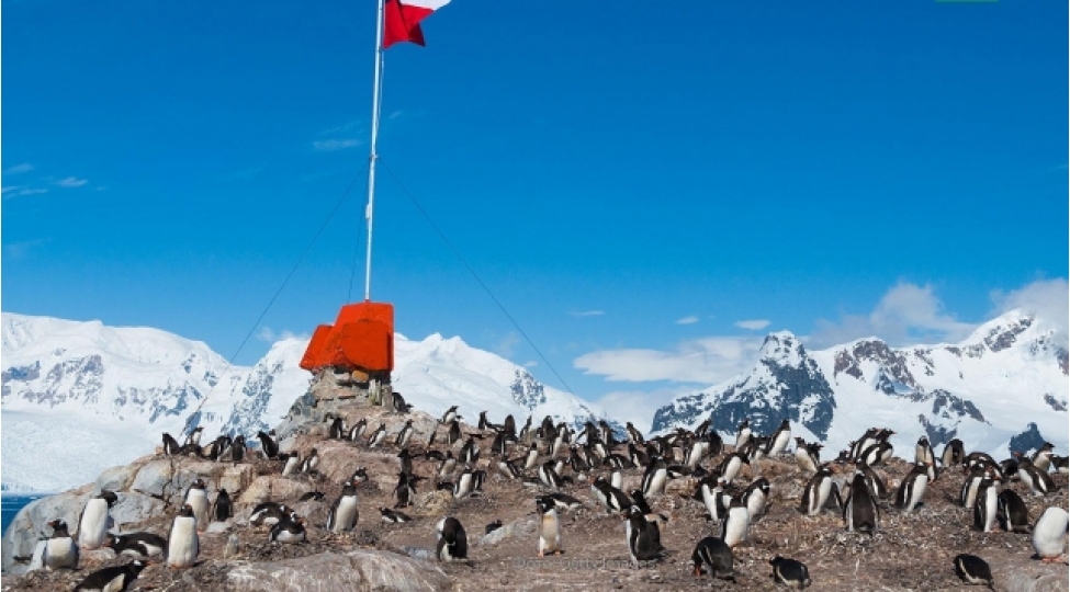 koronavirus-antarktidaya-da-chatdi