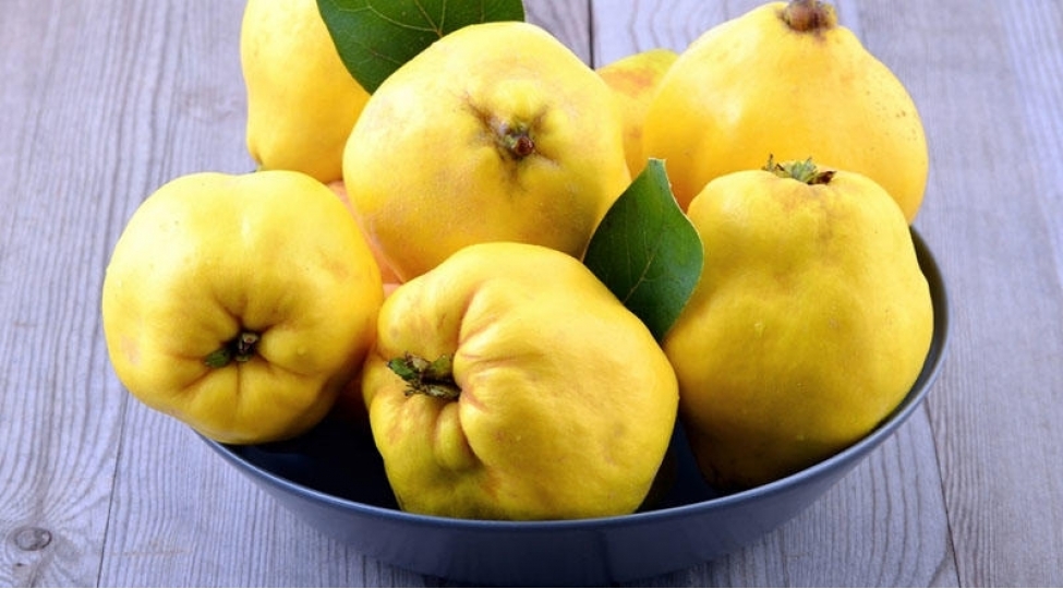 heyva-bizi-nelerden-qoruyur