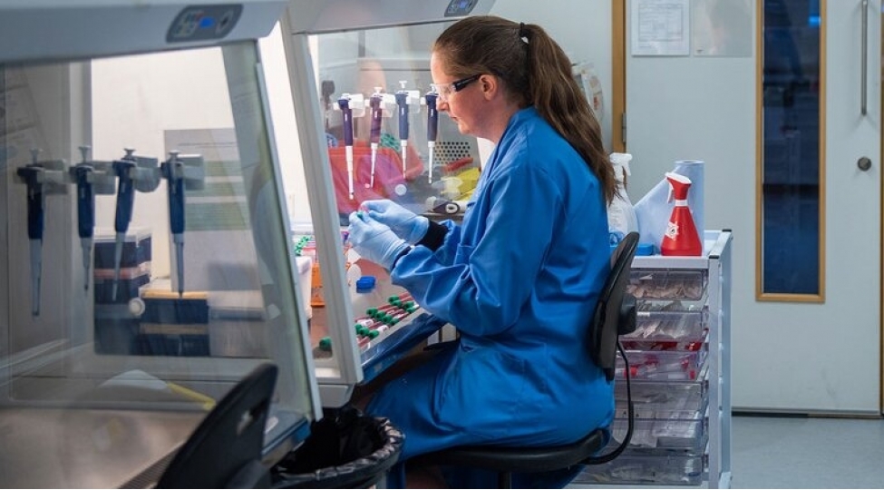 2020-ci-il-hansi-ilklerle-tarixe-dushdu