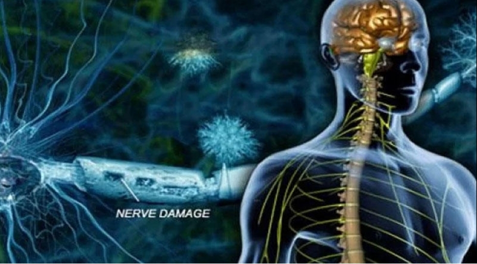 koronavirus-en-chox-bu-orqana-tesir-edir