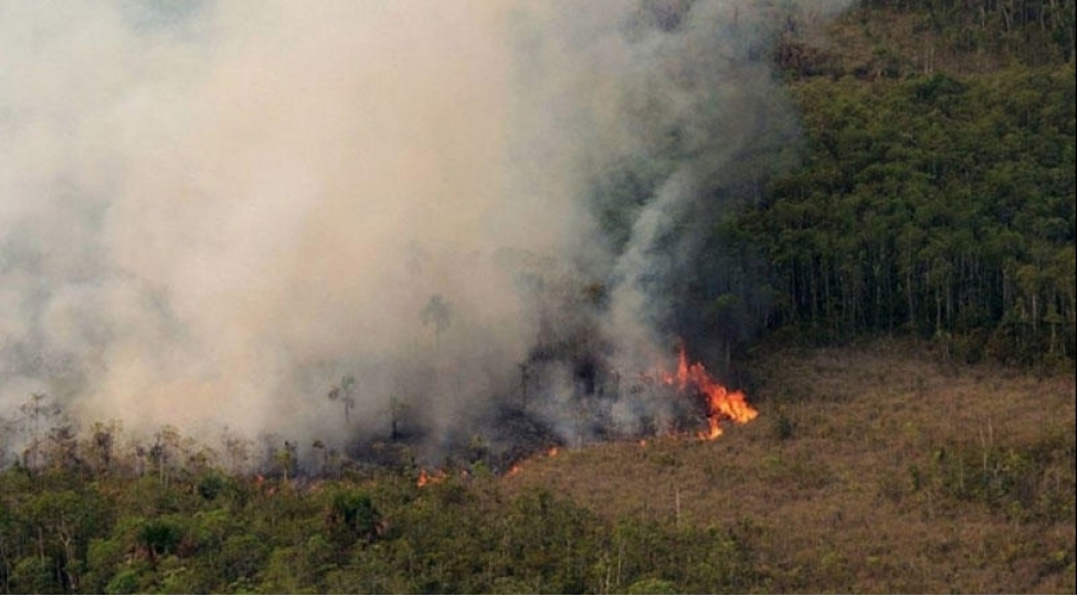 yangin-tustusu-yoluxucu-xesteliklere-sebeb-olan-mikroorqanizmlerin-dashiyicisi-ola-biler