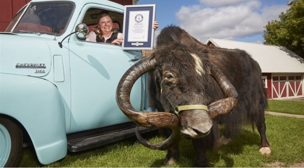 2020-ci-ilin-en-son-rekordlari-foto