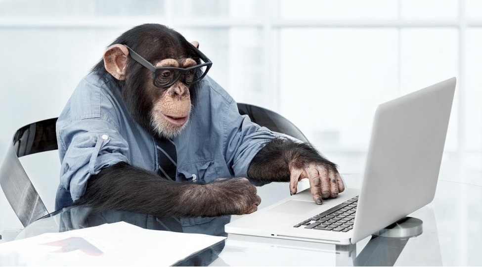 meymuna-chip-yerleshdirerek-videooyunlar-oynadiblar