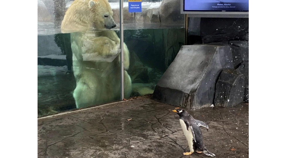 rekord-qiran-paylashim-saatlarla-bir-birine-baxdilar