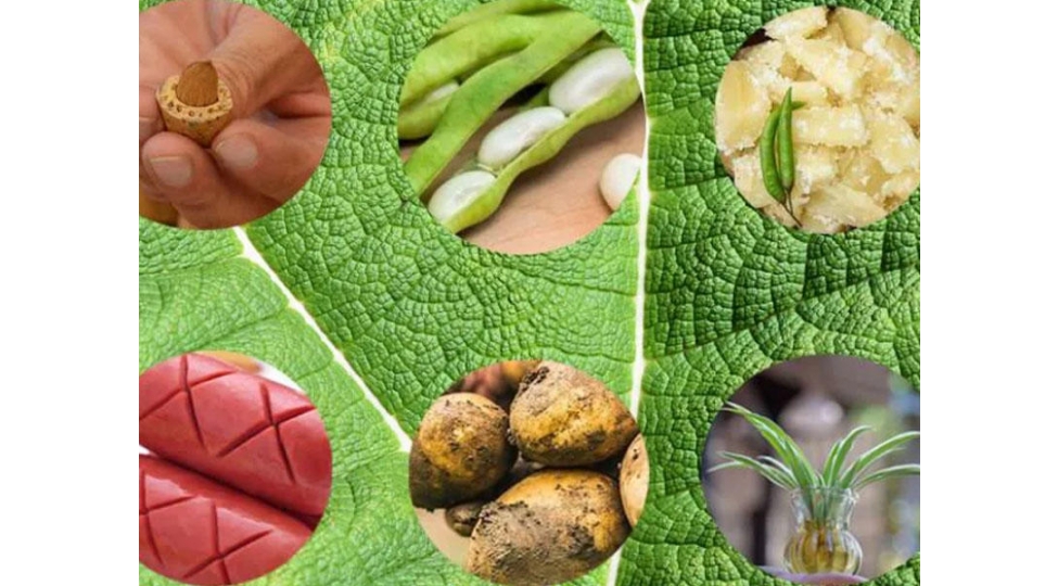 bu-qidalari-chiy-yemek-olmaz-diqqet