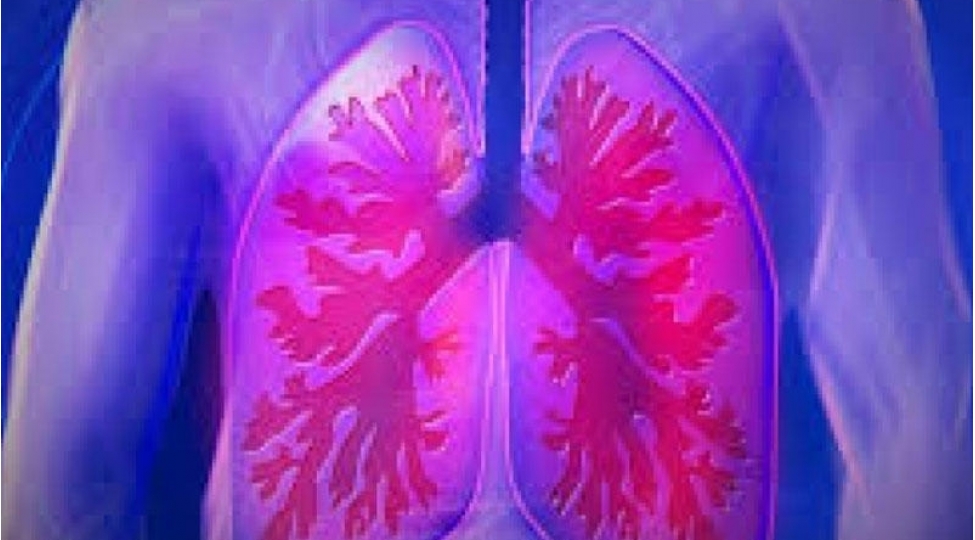 immuniteti-guclendiren-qidalar-2