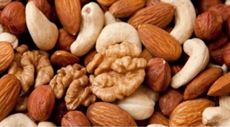 hansi-qidalar-qorxulu-xestelikden-qoruyur