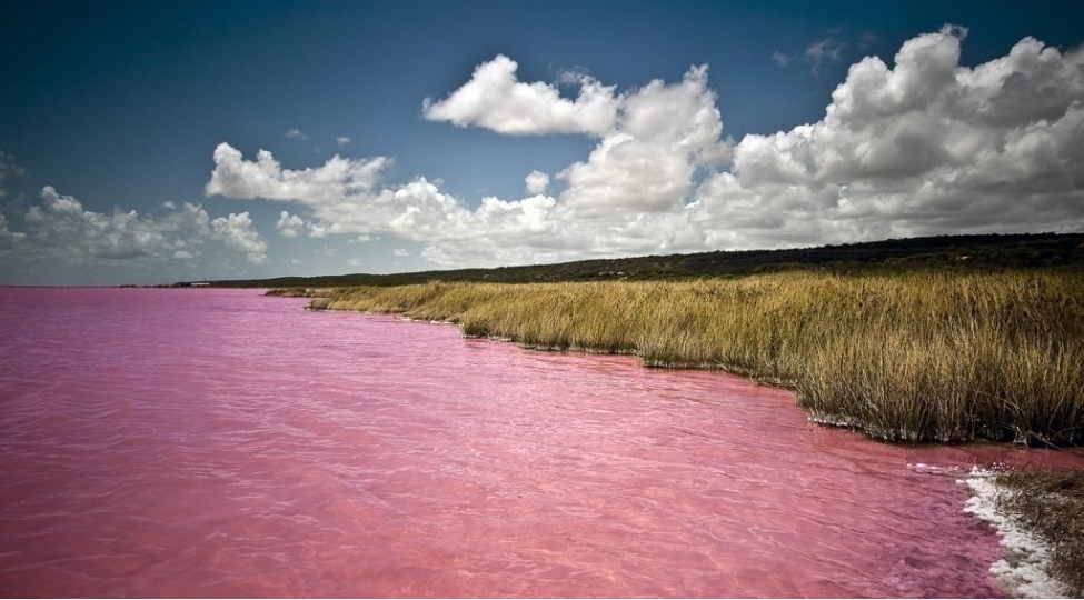 dunyada-cemi-6-olkede-olan-bu-golden-biri-de-azerbaycandadir