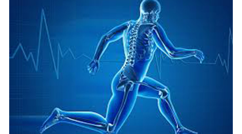 bu-sheyler-eslinde-orqanizmimizi-qoruyurmush