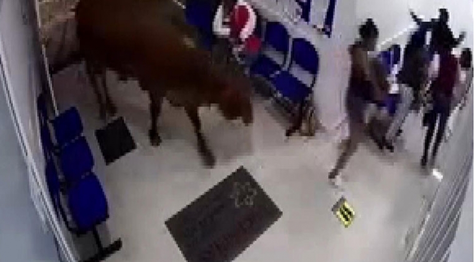 inek-xestexanaya-hucum-etdi-4-nefer-yaralandi