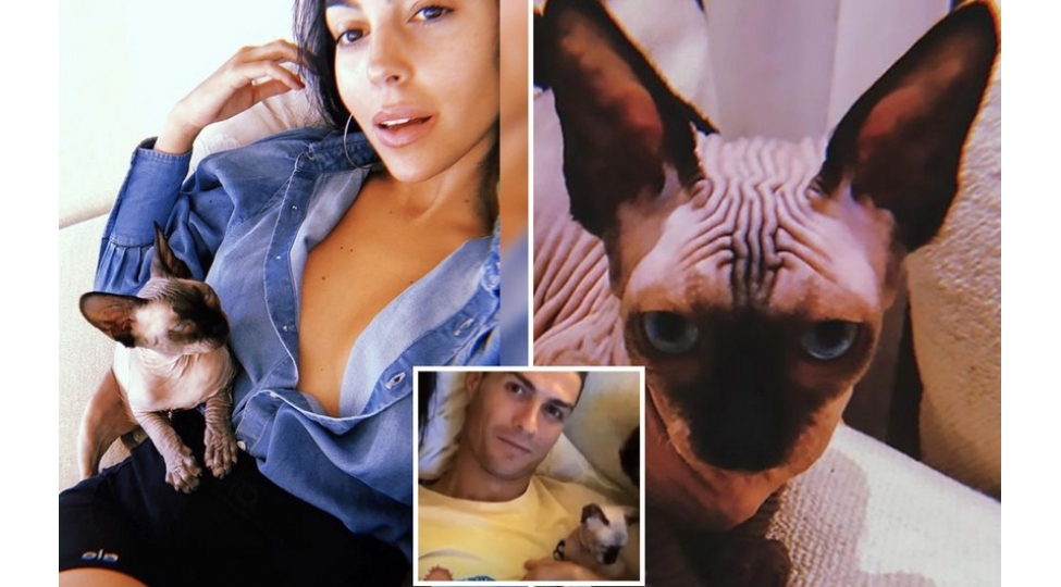 ronaldu-pishiyini-istirahete-gonderib