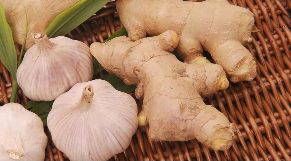 elmi-tedqiqat-alimler-zencefil-ve-sarimsagin-omru-uzattigini-tesdiqleyirler