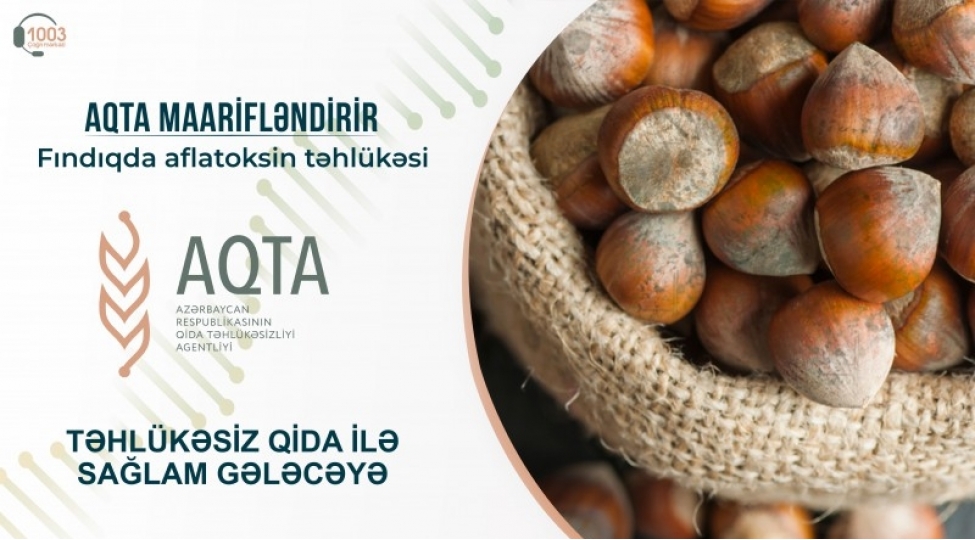 findiqda-aflatoksin-tehlukesi