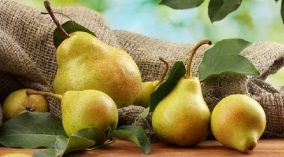 armudun-nece-faydali-oldugunu-bilirsinizmi