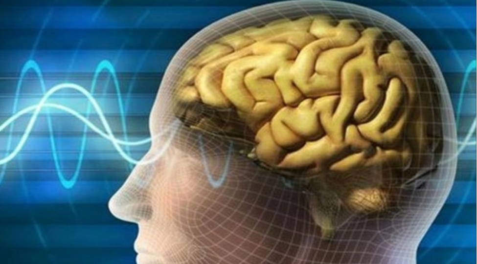 beyin-yaddash-ve-oxumaq-daha-agilli-olmaq-uchun-ne-etmeliyik