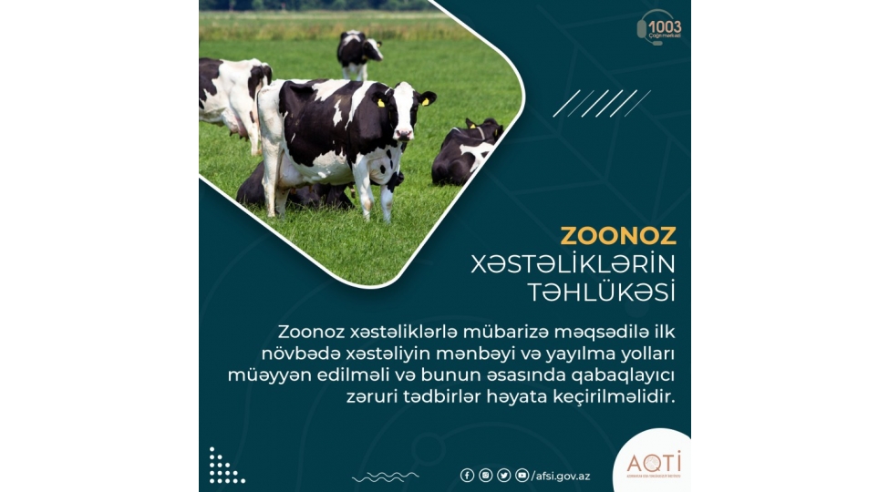 zoonoz-xesteliklerin-tehlukesi-haqqinda-bunlari-bilirdinizmi
