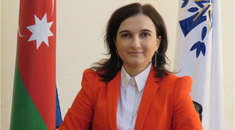 azerbaycan-xalqi-olke-daxilinde-qarshidurma-yaratmaq-isteyenleri-desteklemir-ve-onlari-mudafie-etmir