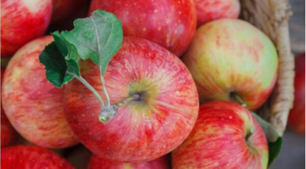 almanin-inanilmaz-faydalari