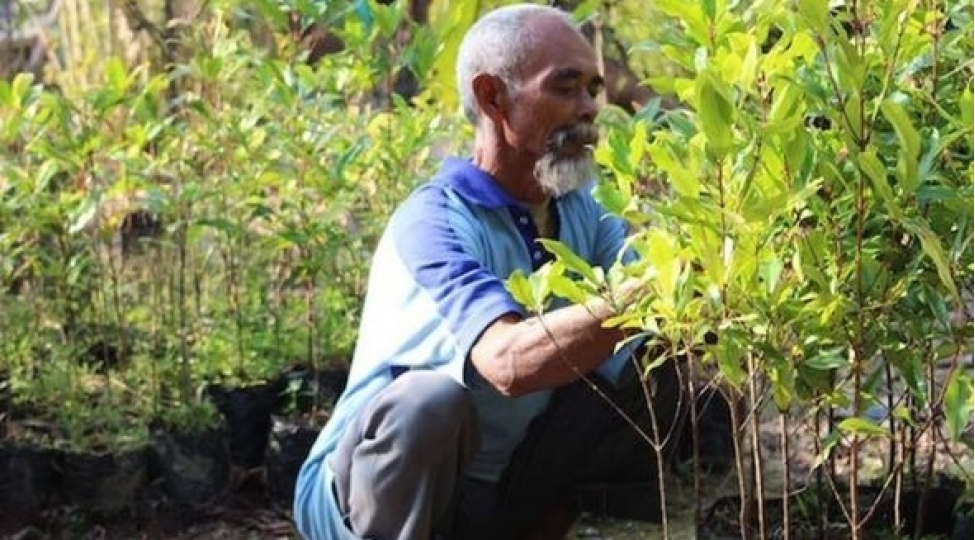 indoneziyali-qoca-tekbashina-11-min-agac-ekdi