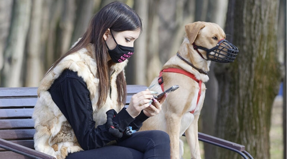 dunyada-bir-ilk-rusiyada-heyvanlar-uchuncovid-19peyvendi-hazirlanibfoto