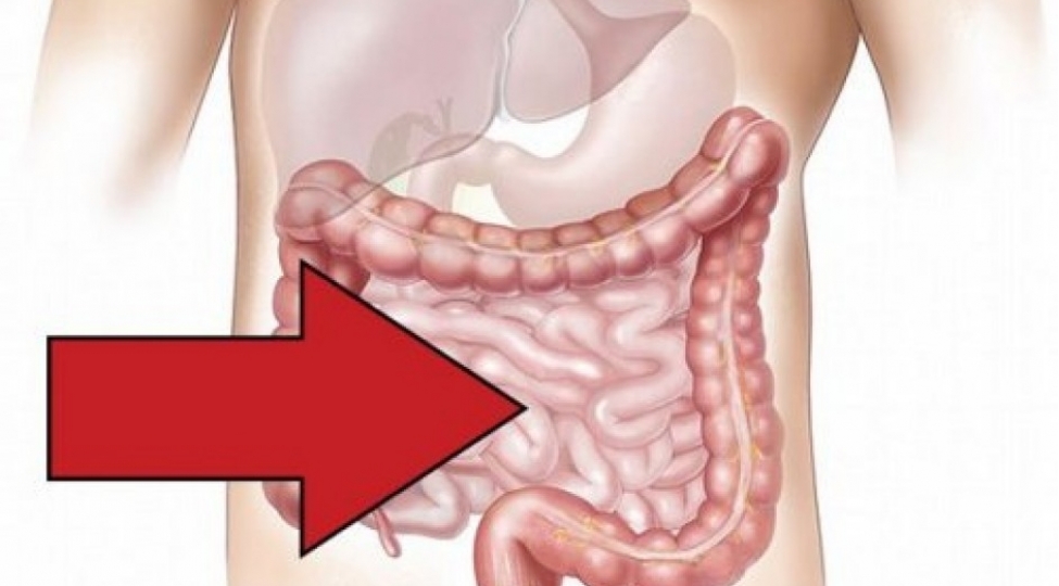 hezm-sistemi-ile-bagli-bunlari-bilirsinizmi-foto