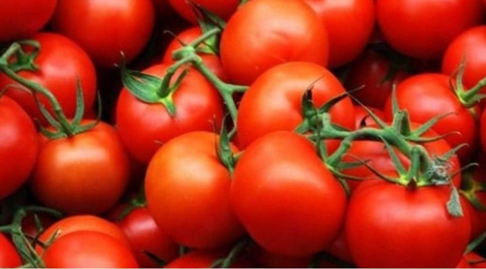 daha-bir-neche-muessiseden-pomidor-qadagasi-goturuldu