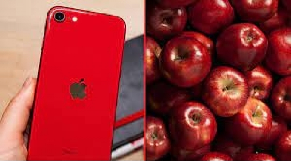 alma-sifarish-etdi-paketden-gorun-ne-chixdifoto