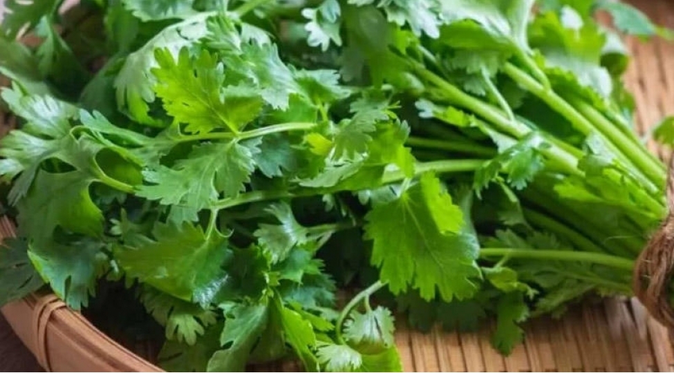 keshnishin-faydalari