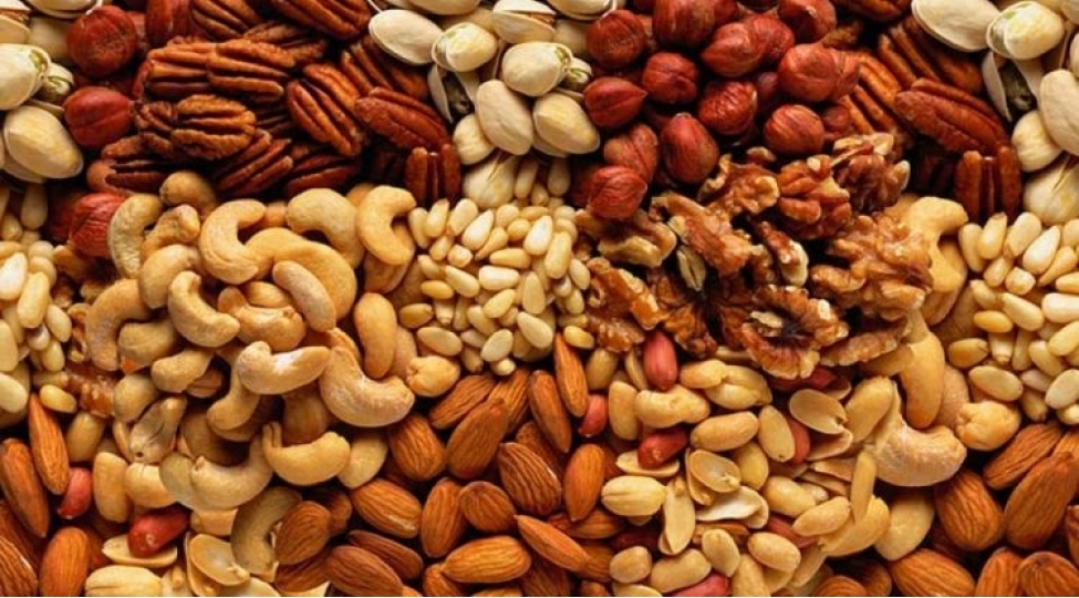 gundelik-ne-qeder-qoz-findiq-yemek-olar