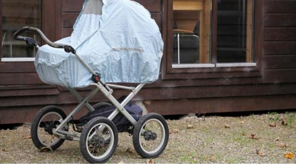 bu-olkede-korpeler-soyuq-havada-yatizdirilir-foto